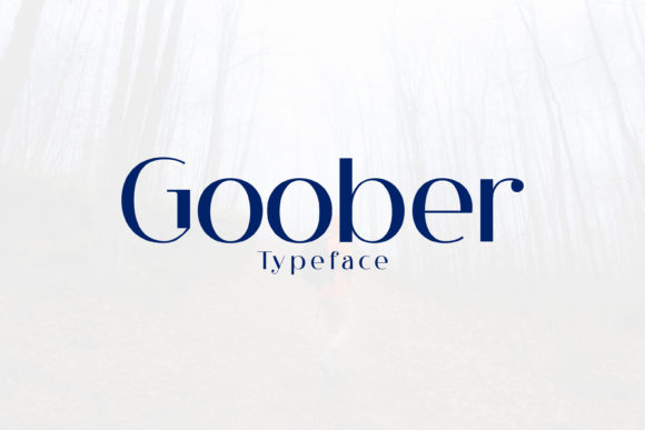 Goober: A Font for Business Brilliance