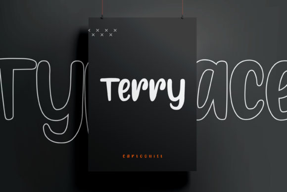 Terry: A Modern Display Font